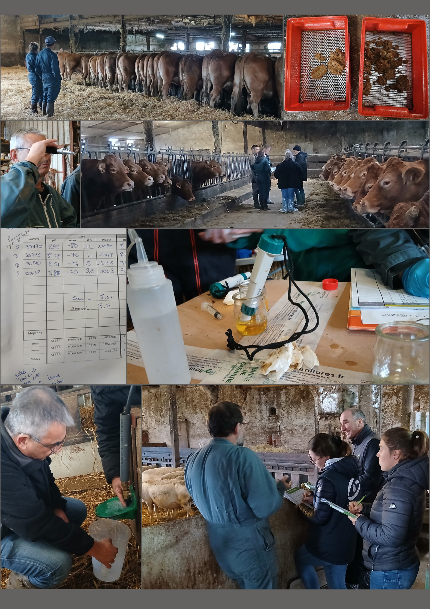 projet passage